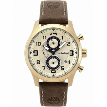 Мужские часы Timberland TBL.15357JSK-07 (Ø 44 mm)