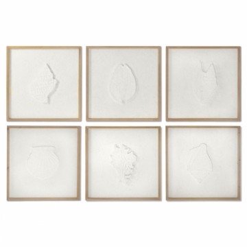 Painting DKD Home Decor Shells 50 x 2 x 50 cm Mediterranean (6 Pieces)