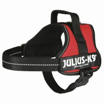 Упряжь для собак Julius K9 Power Красный M