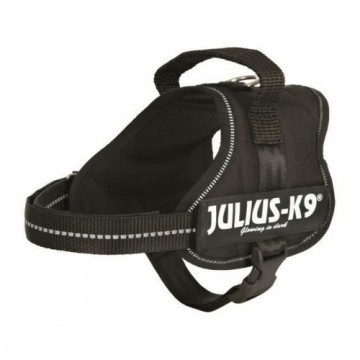 Dog Harness Julius K9 Power Black S