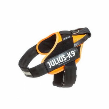 Упряжь для собак Julius K9 IDC Оранжевый L/XL 2 71-96 cm