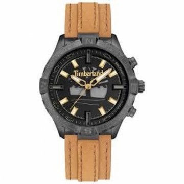 Мужские часы Timberland TDWGD0031101