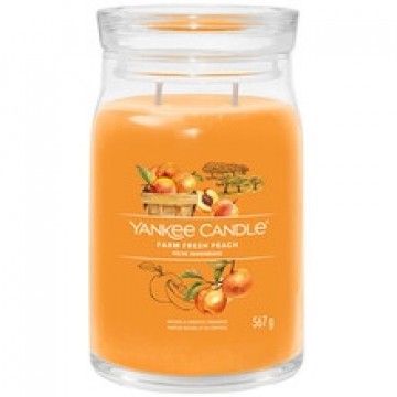 Farm Fresh Peach Signature Candle (farm fresh peach)