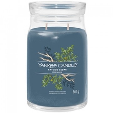 Bayside Cedar Signature Candle