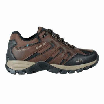 Hiking Boots Hi-Tec Torca Pro Low Wp Brown