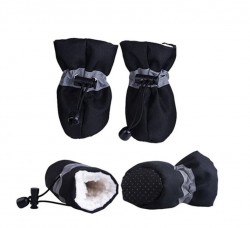 Clothing and booties for dogs image