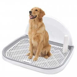 Toilet for dogs image