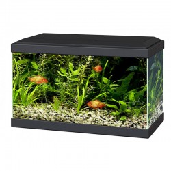 Aquariums image